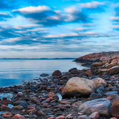 香港2023正版免费资料手机app下载截图