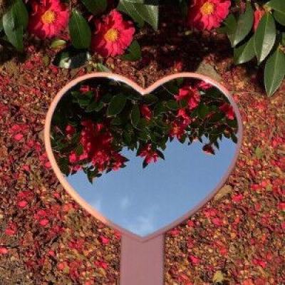 香港2023正版免费资料手机app下载截图