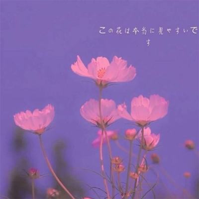 天健棋牌app下载